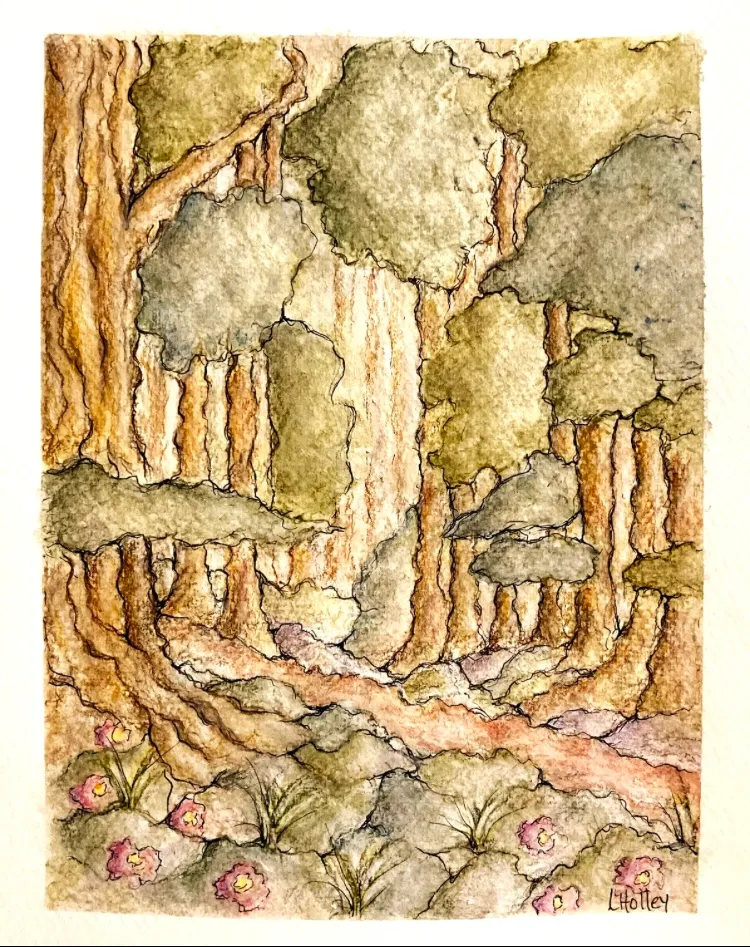 A Walk in the Woods, Watercolor pencil by Lucy Holley